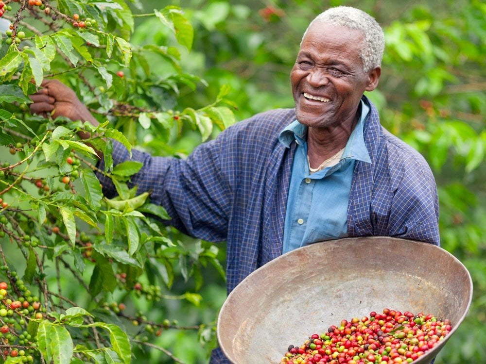 Why it matters where your coffee comes from – and how blockchain can show you