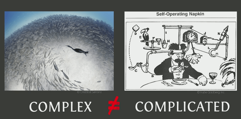 Complex Behavior Emerges from Simple Rules